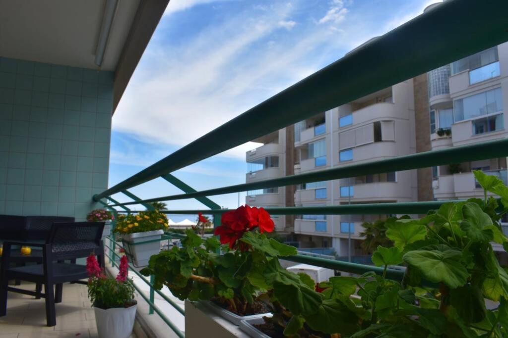 Donna Teresa Accomodation - Holiday House Монополі Екстер'єр фото
